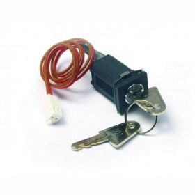 Advanced MXP-016 2-Position Keyswitch Assembly - Trapped Key - For Mx Pro 4 Panels