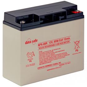 Enersys NPX80-12 Datasafe Battery - 12V 80W