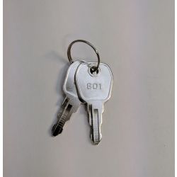 Zerio Plus Wireless Fire Alarm System Panel Key